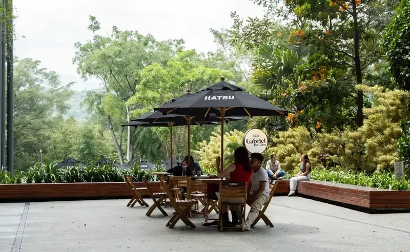 Parasols-1