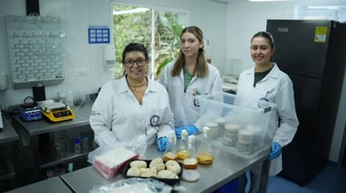 From Agro-Industrial Waste to Fabrics and Hydrogels: FutuMed Project Turns Innovation into Real Solutions