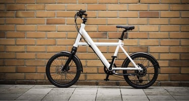 Inmotion Group: Sustainable Mobility and Alternatives for Large Companies