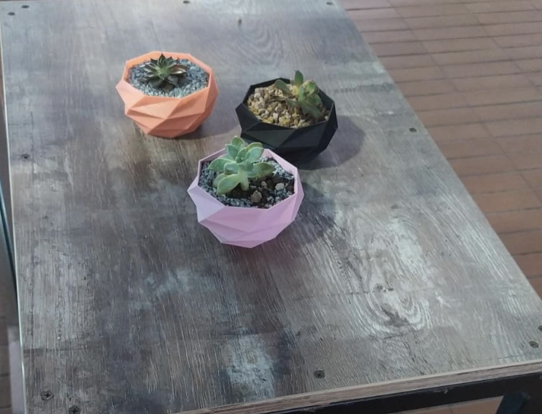 Tres macetas geométricas con suculentas en colores naranja, rosa y negro, colocadas sobre una mesa de madera.