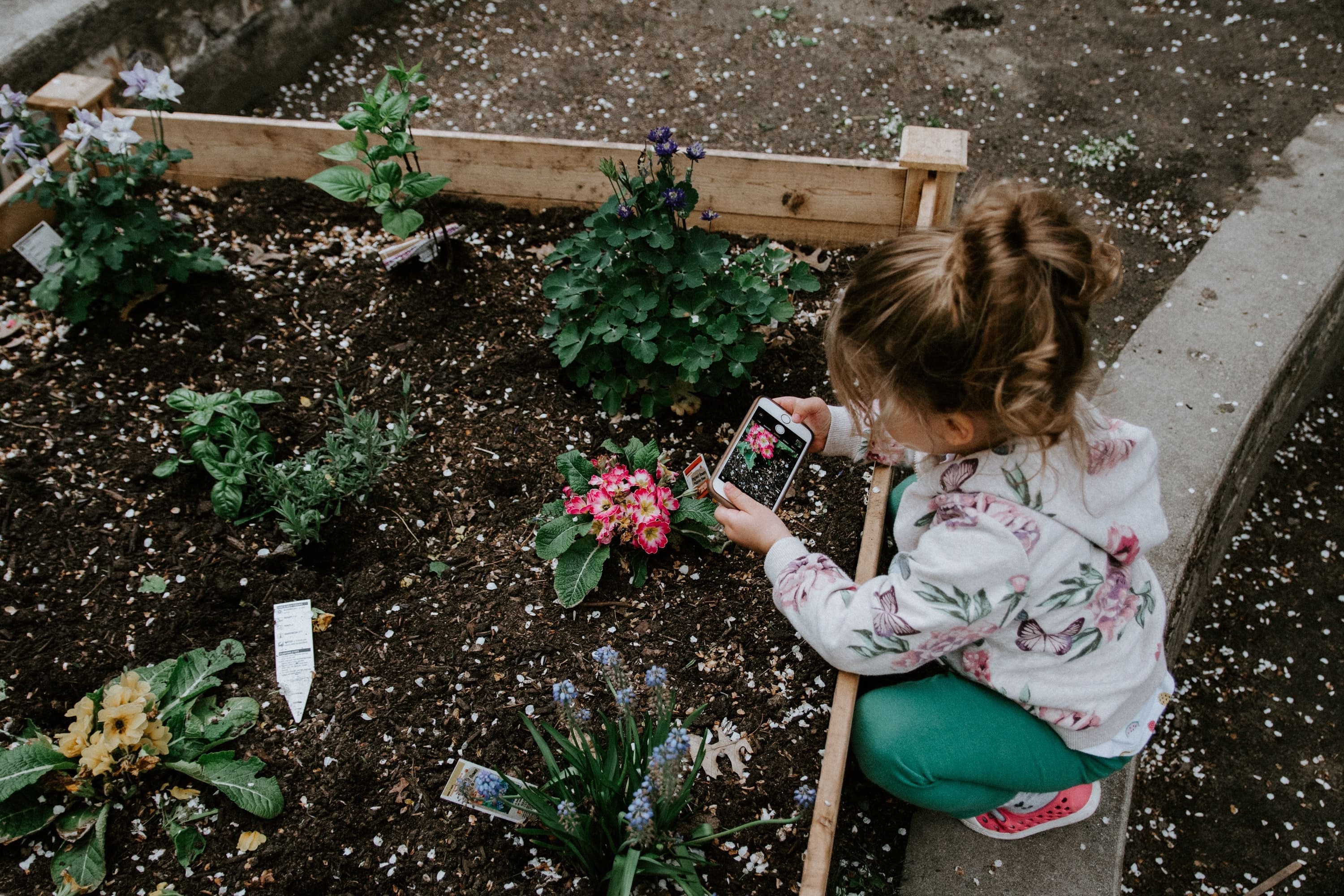 Niña en un jardín capturando flores con su teléfono mientras se sienta cerca de una jardinera.